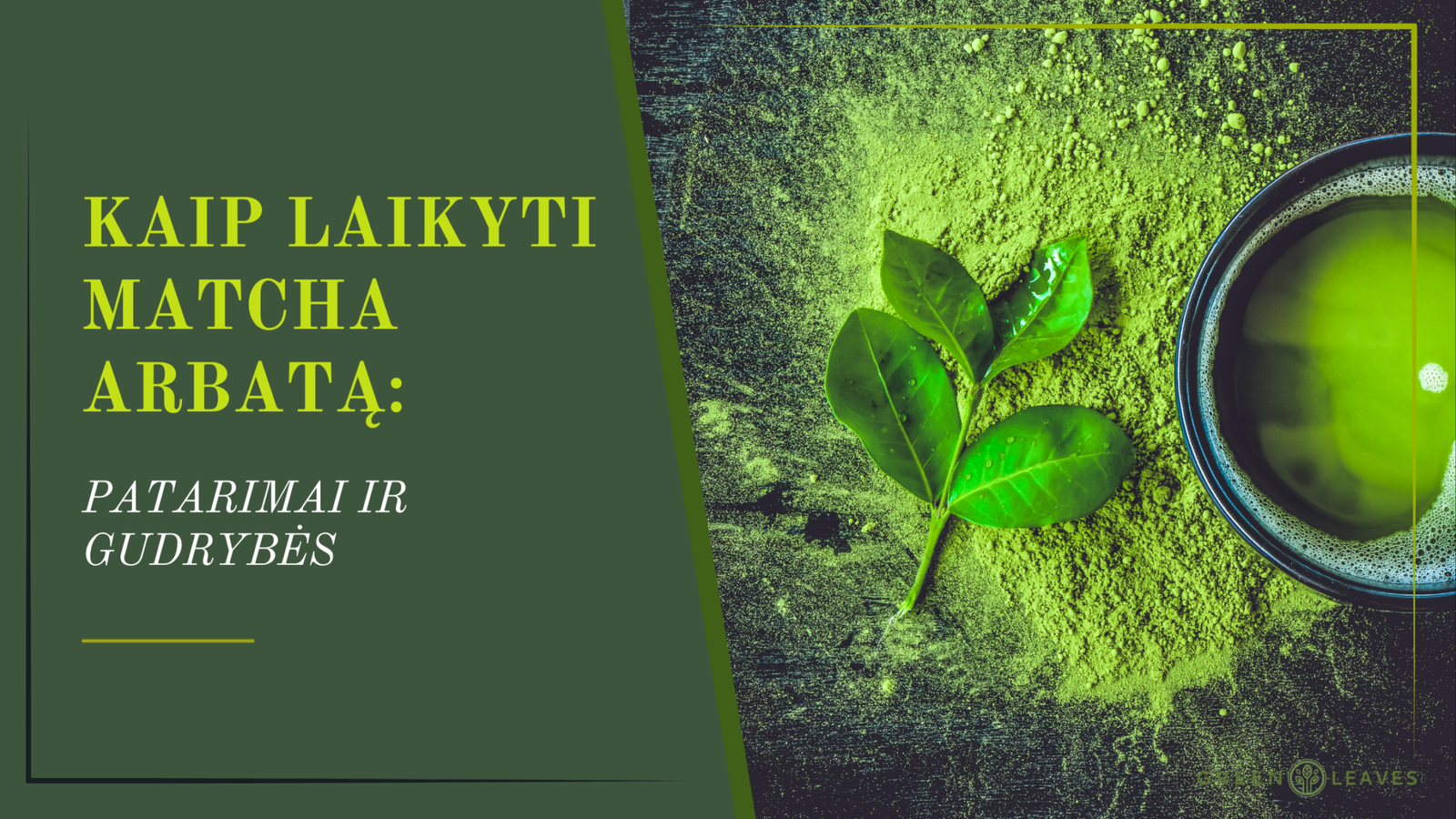 Mojito Cocktail Recipe Blog Banner 2