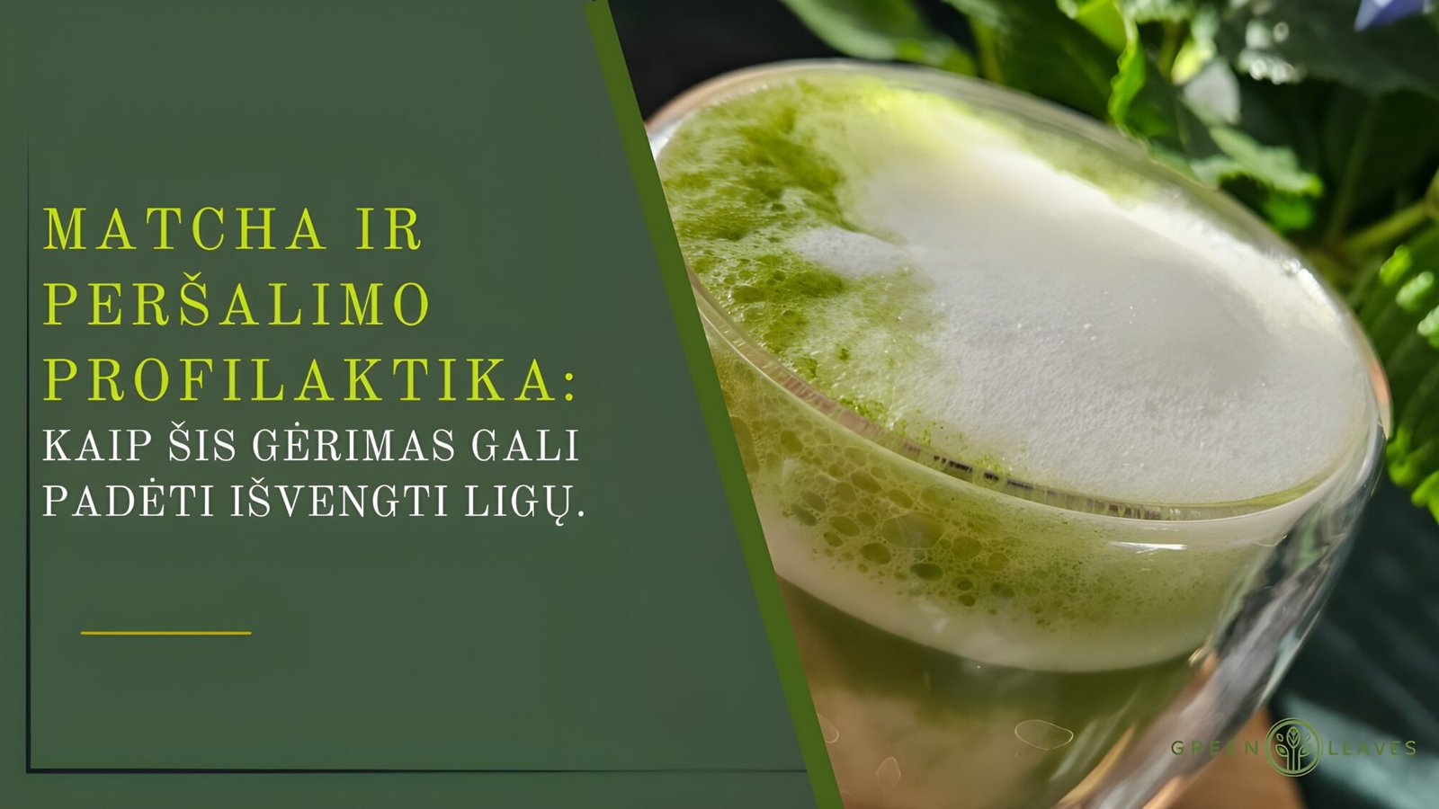 Matcha ir persalimo profilaktika